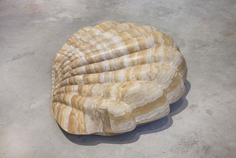 Untitled (Clamshell), 2014